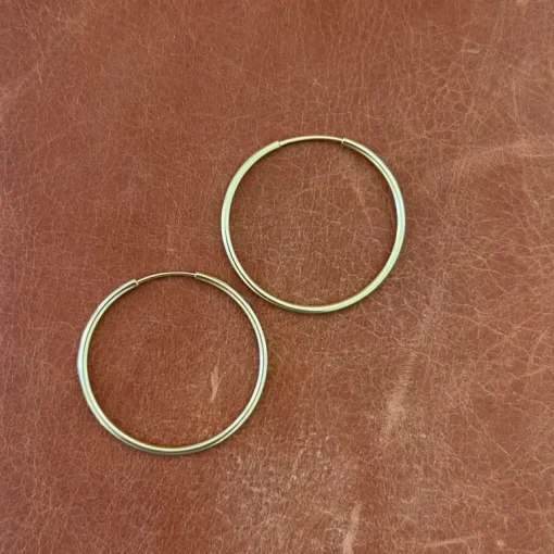 Alexa Leigh The Daily Hoops in Yellow Gold