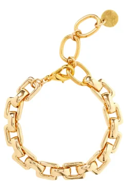 Chan Luu Ellis Chain Link Bracelet in Yellow Gold