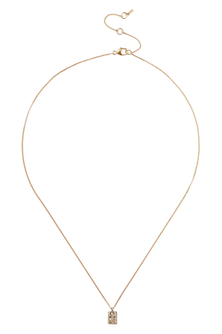 Chan Luu Petite Domino Necklace in Yellow Gold